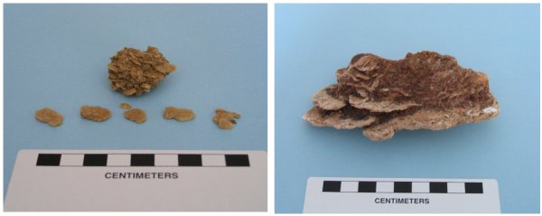 Gypsum crystals