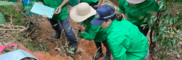 What are soil judging competitions
