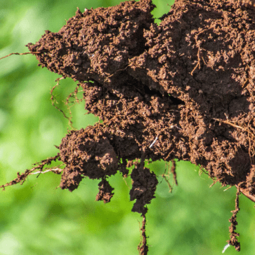 Registered Soil Practitioner: Basic Soil Fundamentals training