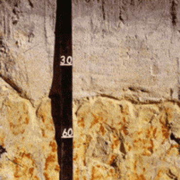 Meet the accreditation board for Registered Soil Practitioners