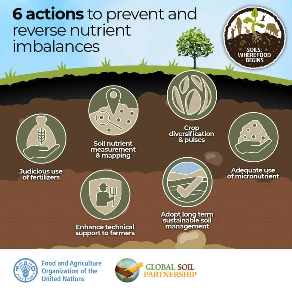 6 actions to prevent and reverse nutrient imbalance