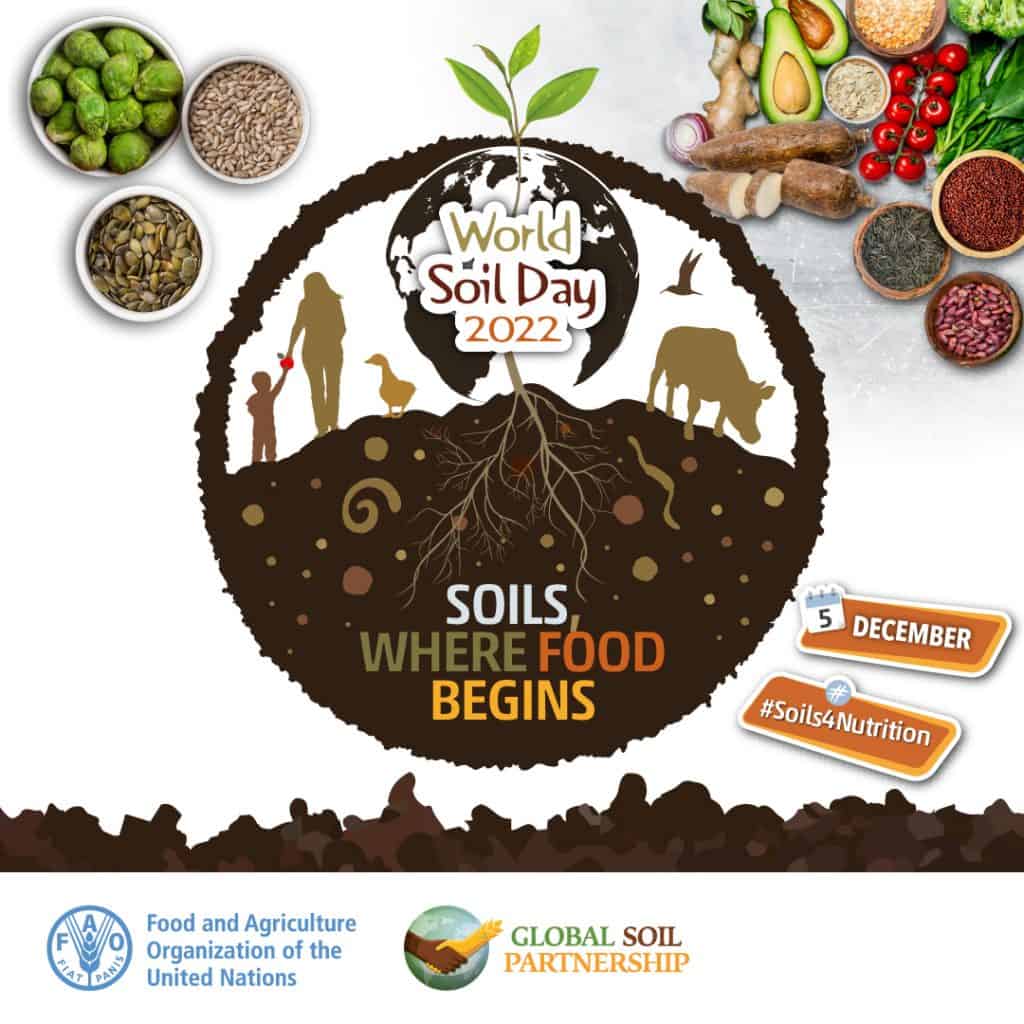 World Soil Day - Soils where food begins