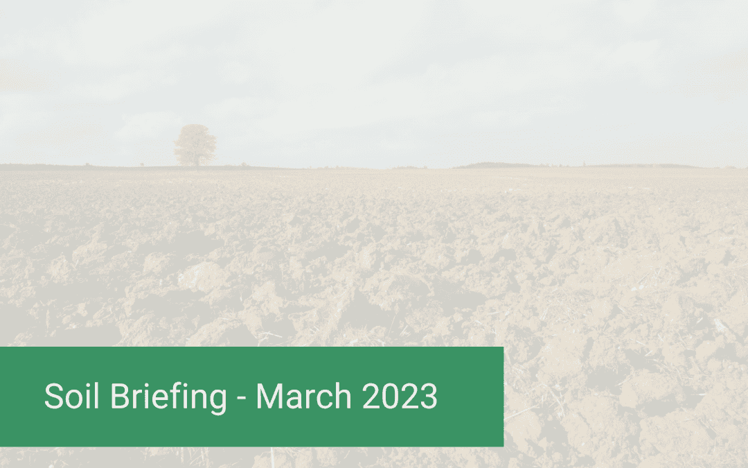 Soil Briefing: March 2023