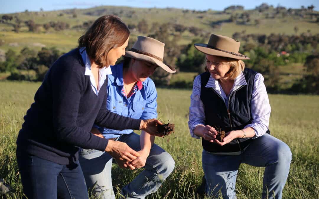 Australian awarded top world soil medal