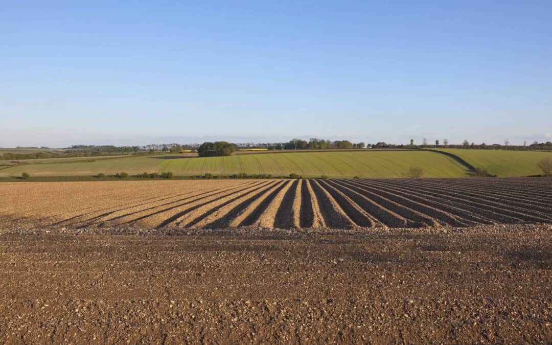 Soil Management field training and assessment confirmed for WA and Queensland