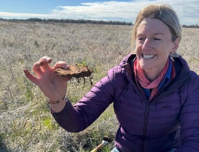 Soil scientist examining soil health in Australian field, promoting sustainable soil management.