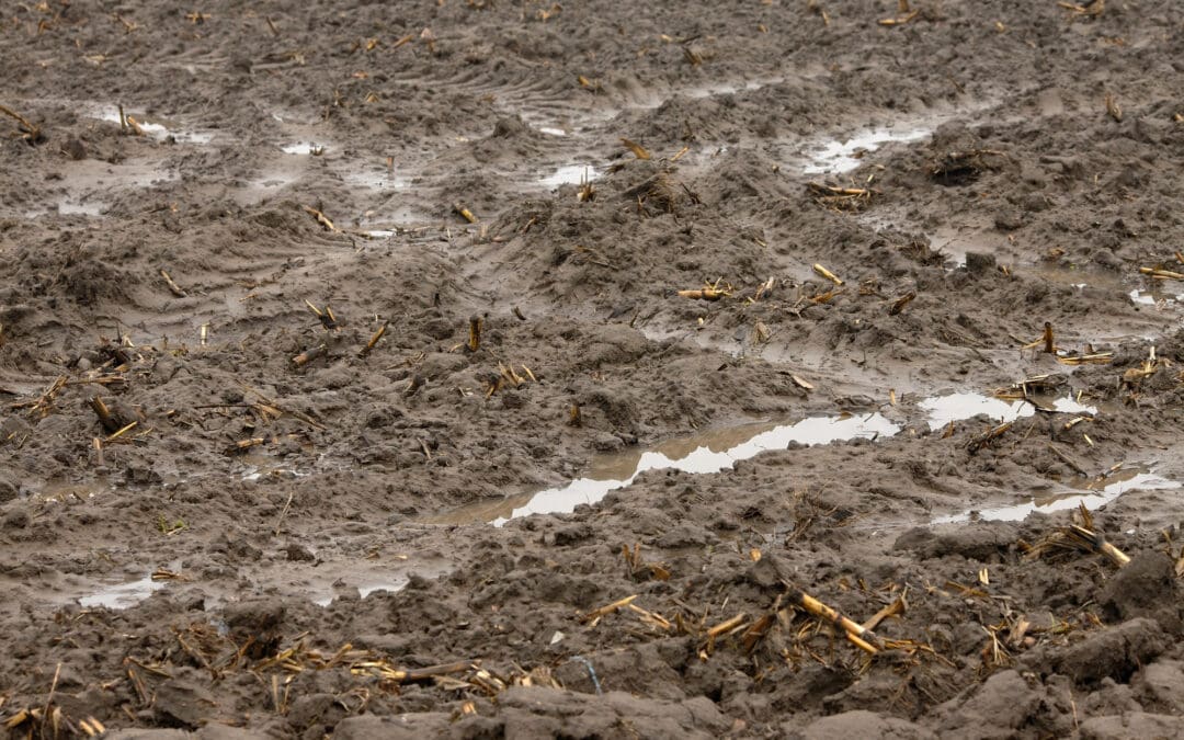 April Smart Soils Resource of the Month