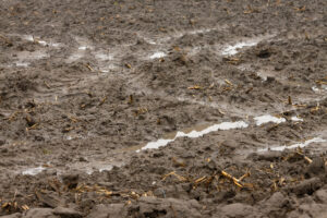 Soil science Australia soil profile with moisture and texture details.