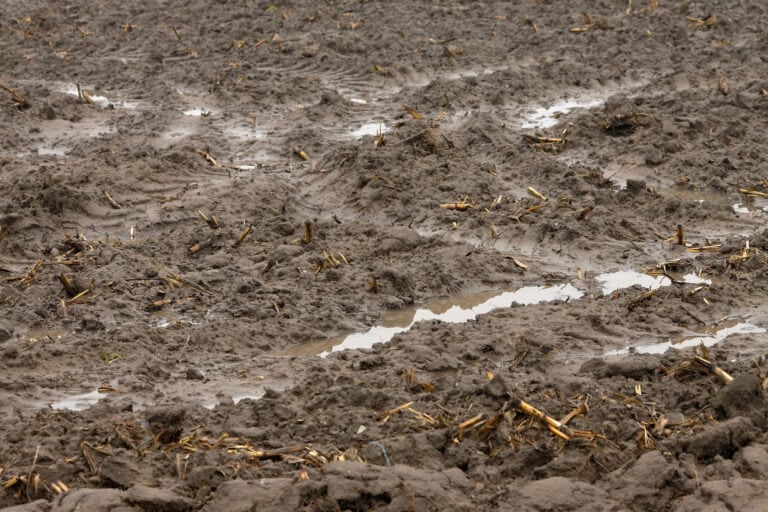 Soil science Australia soil profile with moisture and texture details.