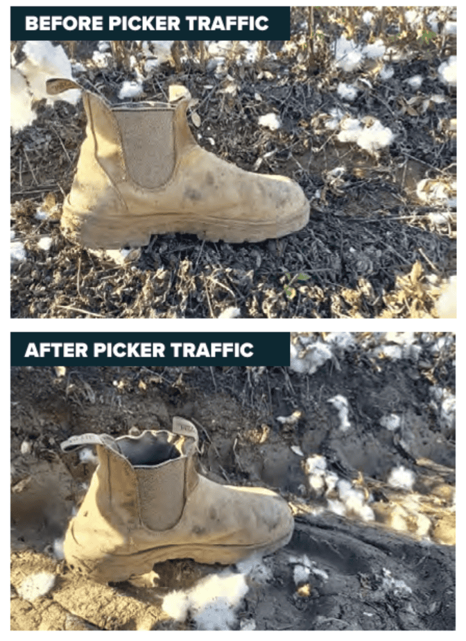 Soil compaction caused by traffic, affecting soil health and plant growth.