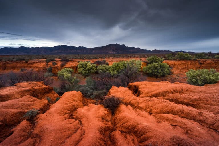 Red soil landscape with sparse green shrubs and mountains under dark cloudy sky.