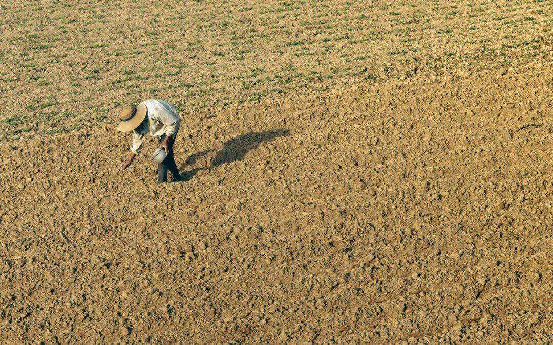 Unlock the potential of sandy soils