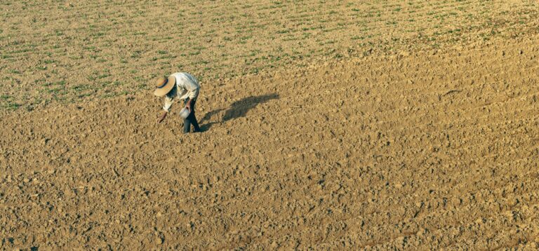Soil sampling process for agricultural soil health and fertility analysis.
